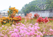 鲜花 广州,花城绽放，浪漫花海之旅
