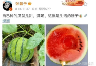 娱乐圈有什么瓜可以吃,揭秘明星幕后故事与精彩瞬间