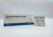 重组新冠病毒疫苗(cho细胞疫苗),重组新冠病毒疫苗的创新与展望