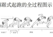 蹲踞式起跑教案,蹲踞式起跑技术解析与训练方法