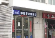 北京 宠物医院,全方位呵护您的爱宠健康乐园